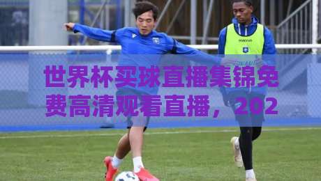 世界杯买球直播集锦免费高清观看直播,2026年观赛避坑指南:老球迷教你找对路子