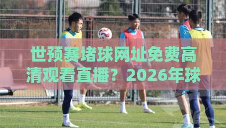 世预赛堵球网址免费高清观看直播?2026年球迷避坑指南与观赛新思路