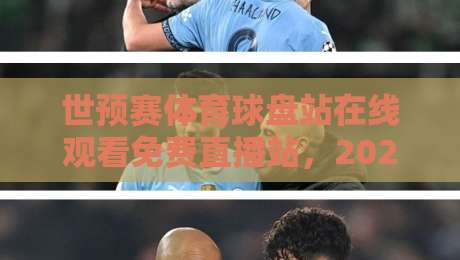 世预赛体育球盘站在线观看免费直播站，2026年观赛避坑指南：老球迷亲测这3类平台最靠谱