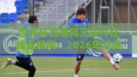 世界杯直播网无插件在线直播网：2026年观赛新姿势，告别卡顿与弹窗