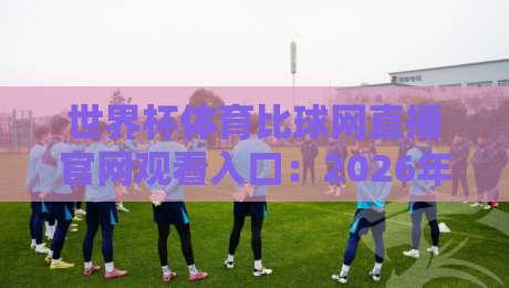 世界杯体育比球网直播官网观看入口：2026年观赛避坑指南与真入口辨别法