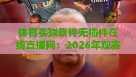体育买球软件无插件在线直播网：2026年观赛新选择，真能边看边玩？