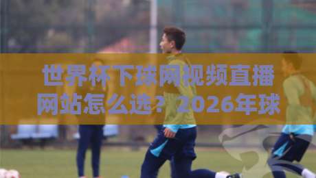 世界杯下球网视频直播网站怎么选？2026年球迷实测避坑指南与观赛体验分享