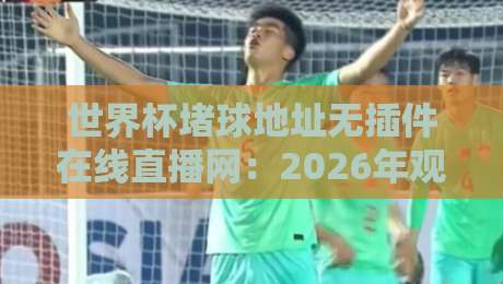 世界杯堵球地址无插件在线直播网：2026年观赛避坑指南与真实体验谈