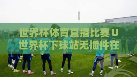 世界杯体育直播比赛∪世界杯下球站无插件在线直播网：2026年观赛避坑指南与实战体验