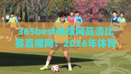 365best体球网高清比赛直播网：2026年体育迷的观赛新选择？实测体验与避坑指南