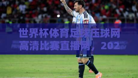 世界杯体育足球压球网高清比赛直播网，2026年球迷观赛新姿势：画质、延迟与体验全拆解