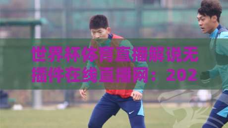 世界杯体育直播解说无插件在线直播网：2026年观赛体验升级指南，免费高清不卡顿怎么找？