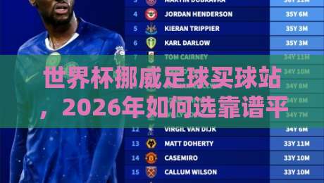 世界杯挪威足球买球站，2026年如何选靠谱平台？这些你得知道