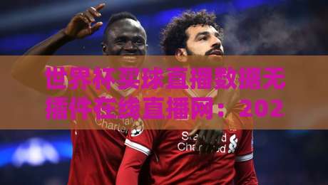 世界杯买球直播数据无插件在线直播网：2026年观赛新姿势，数据与画面如何兼得？