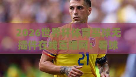 2026世界杯体育买球无插件在线直播网：看球不折腾，这份观赛指南请收好