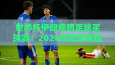 世界杯伊朗竞猜足球买球赛：2026年资深球迷的四个逆向思维策略