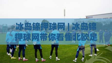 冰岛锦押球网 | 冰岛锦押球网带你看懂北欧足球的冷门美学与数据逻辑|网上热门娱乐网4K俱乐部中水入口无解说半场波胆