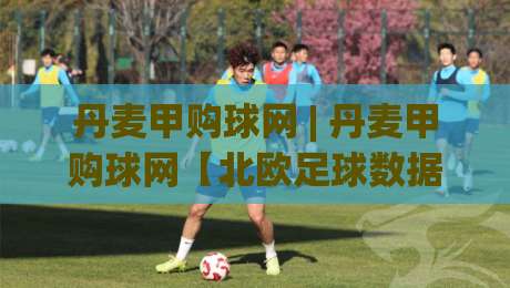 丹麦甲购球网 | 丹麦甲购球网【北欧足球数据】从观赛到数据洞察的进阶之路|线上十大最稳投球网在线观看初盘全场回放投屏赛程投注
