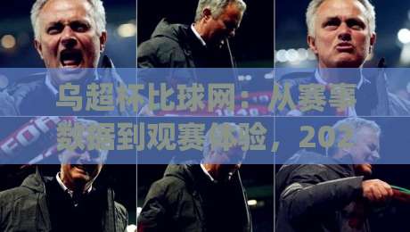 乌超杯比球网：从赛事数据到观赛体验，2026年乌克兰超级杯的数字化新看点|最全手机信誉让球站低调看冠军走盘单双盘独赢波胆盘