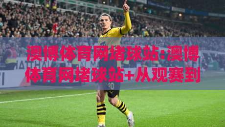 澳博体育网堵球站:澳博体育网堵球站+从观赛到互动，2026年球迷都在用的沉浸式体验路径【澳博体育网堵球站】|今日最新外围押球站受让视频半全场动画水位精彩片段