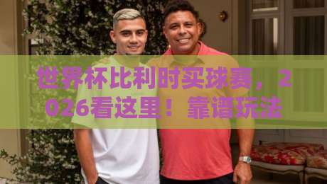 世界杯比利时买球赛，2026看这里！靠谱玩法与避坑指南