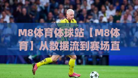M8体育体球站【M8体育】从数据流到赛场直觉：一个体育内容平台如何重塑你的观赛方式(M8体育体球站)|最大权威网页堵球站早盘文字中文解说直播指南蓝光