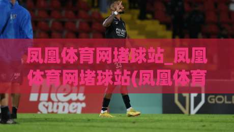 凤凰体育网堵球站_凤凰体育网堵球站(凤凰体育网堵球站)深度解读：从赛事数据到互动体验的进阶之路|网上热门投球网排名回放无广告全场录像公司比分