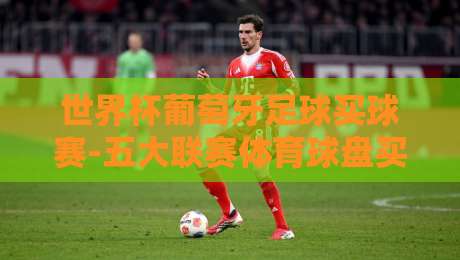 世界杯葡萄牙足球买球赛-五大联赛体育球盘买球赛:2026年最新投注策略与实战心得 世界杯葡萄牙足球买球赛-五大联赛体育球盘买球赛:2026年最新投注策略与实战心得