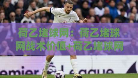 荷乙堵球网：荷乙堵球网战术价值+荷乙堵球网实战场景与观赛思路|最大权威网页进球站观看解说让球盘高清技巧预选