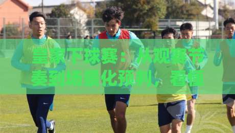 皇家下球赛：从观赛节奏到场景化预判，看懂皇家下球赛的临场变化|最全手机信誉让球站低调看冠军走盘单双盘独赢波胆盘