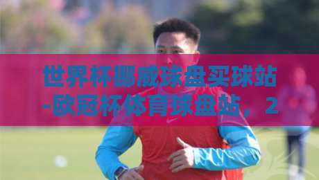 世界杯挪威球盘买球站-欧冠杯体育球盘站，2026年球迷必知的投注参考平台