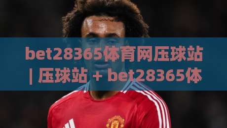 bet28365体育网压球站 | 压球站 + bet28365体育网压球站玩法拆解：从场景预判到节奏把控的实战思路|线上十大最稳娱乐网信号赔率升盘在线看评级时间