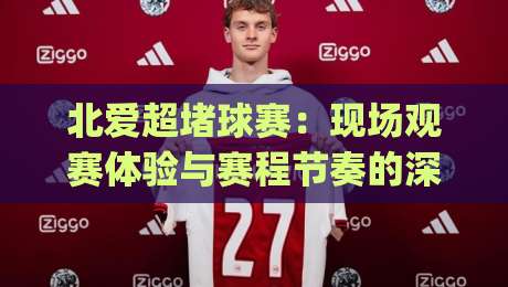 北爱超堵球赛：现场观赛体验与赛程节奏的深度观察|今晚靠谱最火进球站社区排行信号赔率升盘在线看
