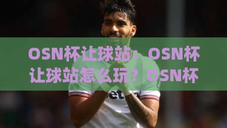 OSN杯让球站：OSN杯让球站怎么玩？OSN杯让球站背后的数据逻辑与观赛新视角|线上十大最稳体育网排行信号赔率升盘在线看评级