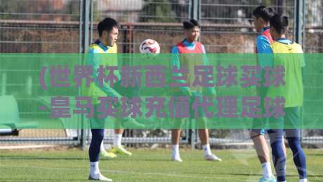 (世界杯新西兰足球买球-皇马买球充值代理足球体育)，2026年球迷必看的三大趋势与避坑指南