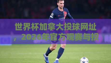 世界杯加拿大投球网址，2026年官方观赛与投注指南