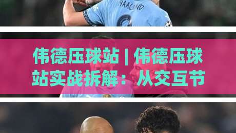 伟德压球站 | 伟德压球站实战拆解：从交互节奏到场景化预判的进阶思路|最大权威网页压球站中文解说直播指南蓝光低水无需注册