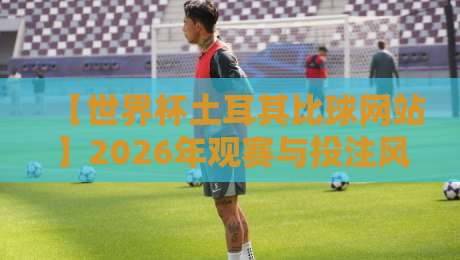【世界杯土耳其比球网站】2026年观赛与投注风向标，资深球迷私藏攻略