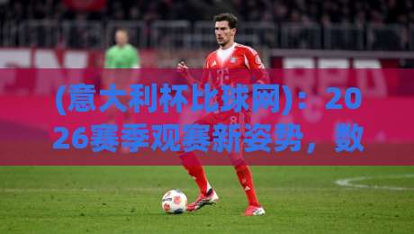 (意大利杯比球网)：2026赛季观赛新姿势，数据比你想的更有趣