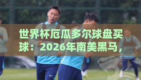 世界杯厄瓜多尔球盘买球：2026年南美黑马，盘口暗藏哪些玄机？