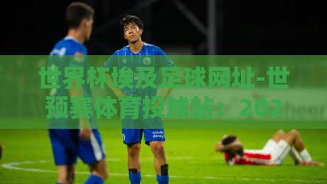 世界杯埃及足球网址-世预赛体育投球站：2026年非洲区预选赛观赛全攻略