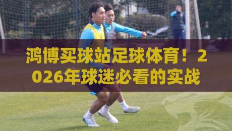 鸿博买球站足球体育！2026年球迷必看的实战经验与避坑指南