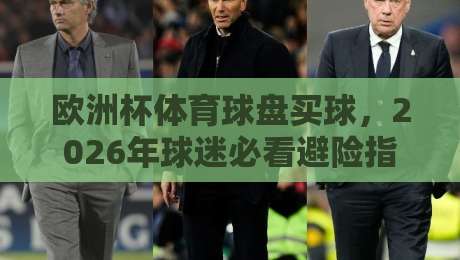 欧洲杯体育球盘买球，2026年球迷必看避险指南