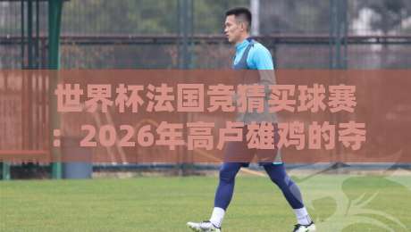 世界杯法国竞猜买球赛：2026年高卢雄鸡的夺冠密码与实战策略（世界杯法国竞猜买球赛）