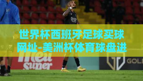 世界杯西班牙足球买球网址-美洲杯体育球盘进球：2026年球迷必备指南！