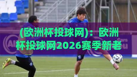 (欧洲杯投球网)：欧洲杯投球网2026赛季新老球迷必备指南