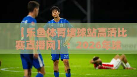 【乐鱼体育堵球站高清比赛直播网】：2026年球迷必看的高清观赛指南