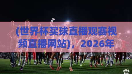 (世界杯买球直播观赛视频直播网站)，2026年观赛指南，这里有你想知道的一切