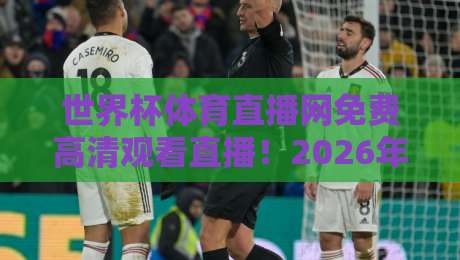 世界杯体育直播网免费高清观看直播！2026年观赛新姿势来了