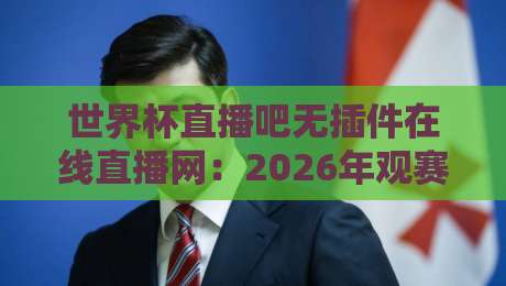 世界杯直播吧无插件在线直播网：2026年观赛指南与实战技巧